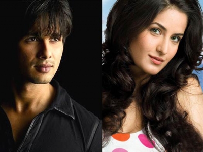 Shahid Kapoor and Katrina Kaif in Action Film Namak